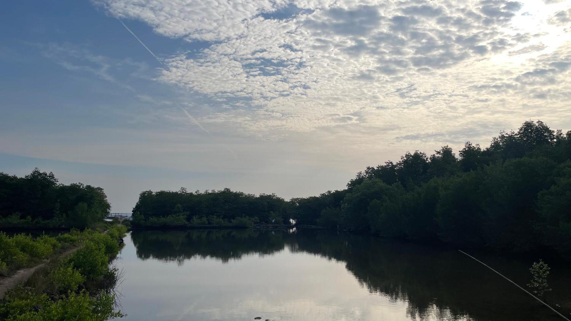 Mangrove Inn การีมุนยาวา ภายนอก รูปภาพ