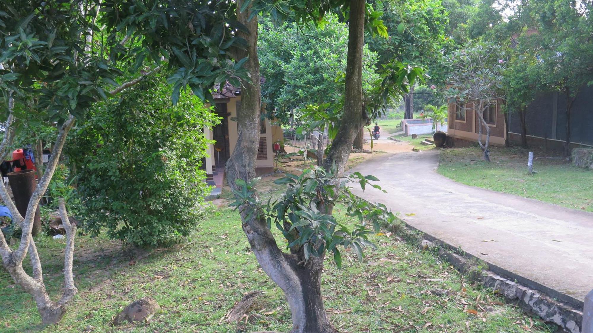 Mangrove Inn การีมุนยาวา ภายนอก รูปภาพ