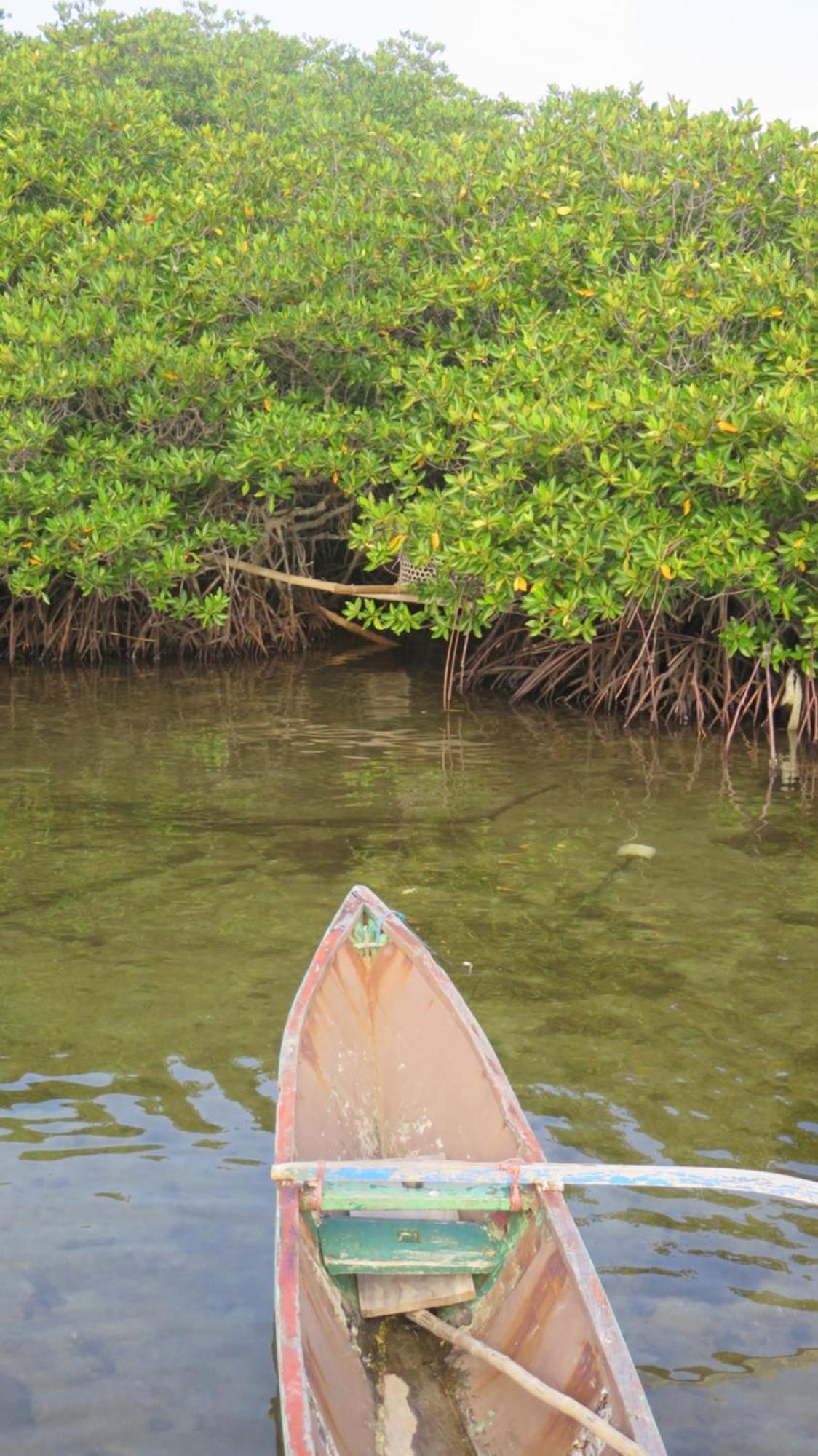 Mangrove Inn การีมุนยาวา ภายนอก รูปภาพ