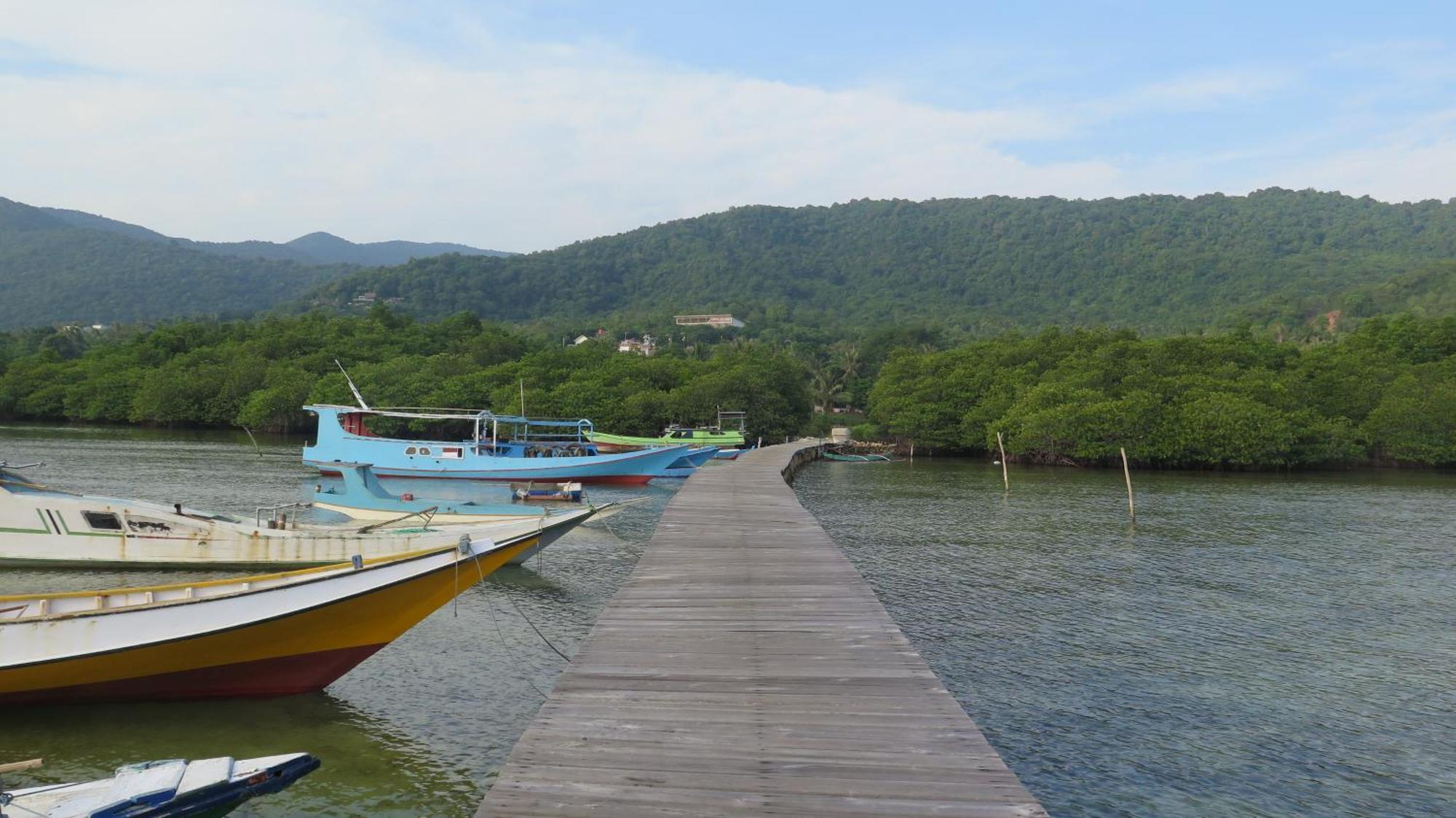 Mangrove Inn การีมุนยาวา ภายนอก รูปภาพ