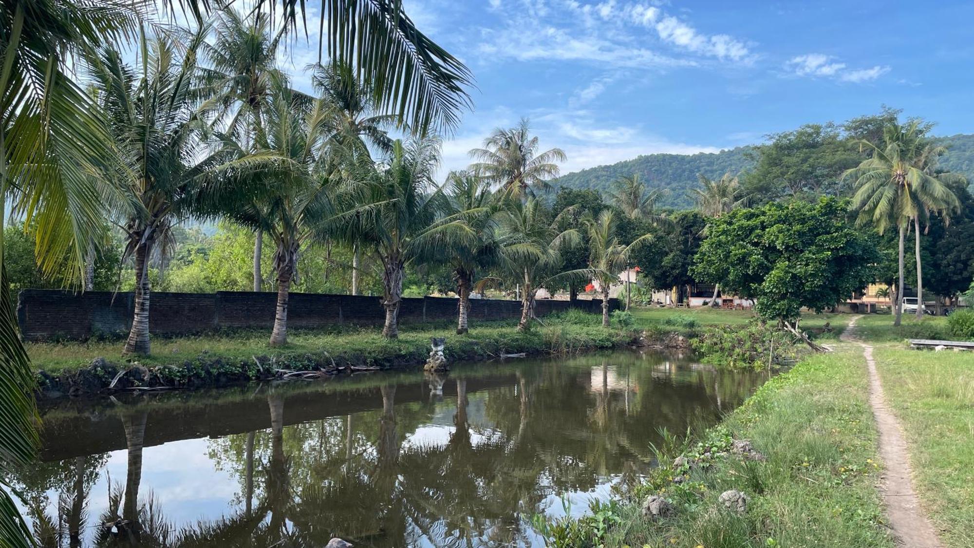 Mangrove Inn การีมุนยาวา ภายนอก รูปภาพ