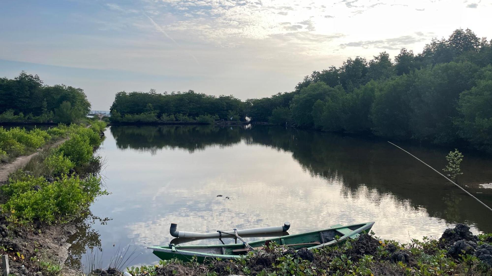Mangrove Inn การีมุนยาวา ภายนอก รูปภาพ