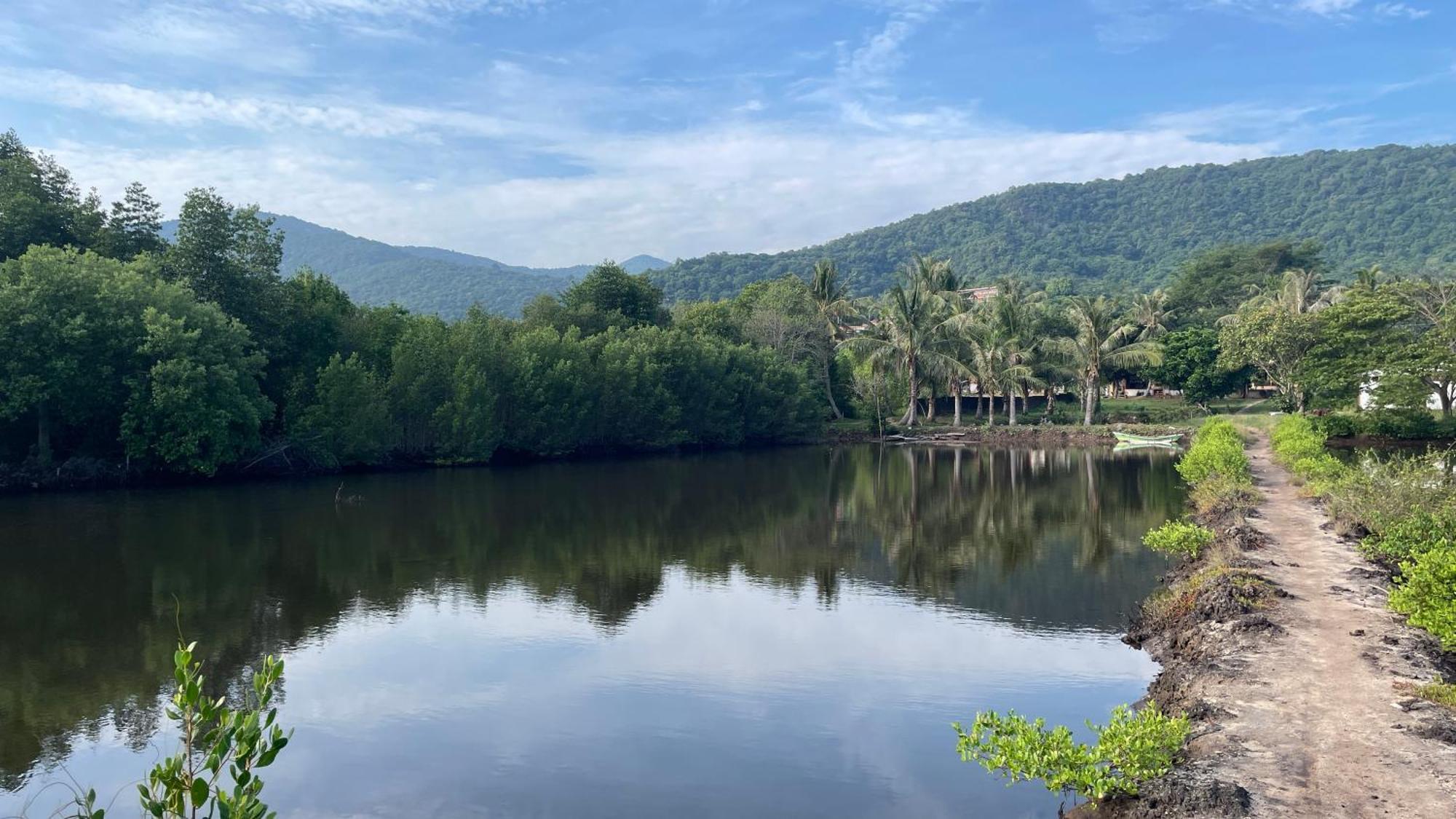 Mangrove Inn การีมุนยาวา ภายนอก รูปภาพ