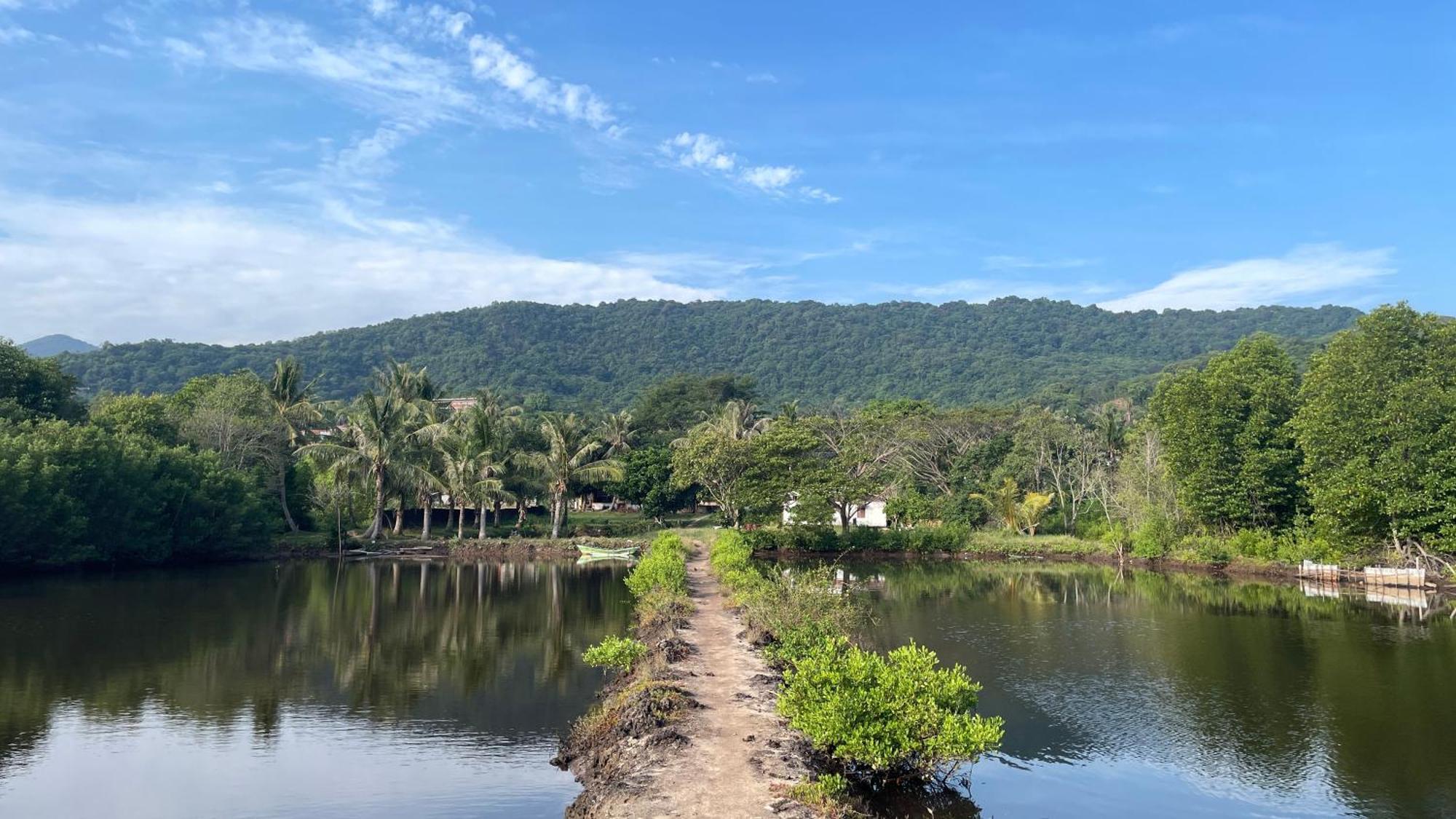 Mangrove Inn การีมุนยาวา ภายนอก รูปภาพ