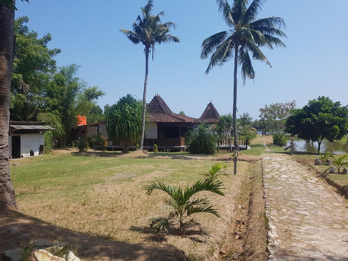 Mangrove Inn การีมุนยาวา ภายนอก รูปภาพ