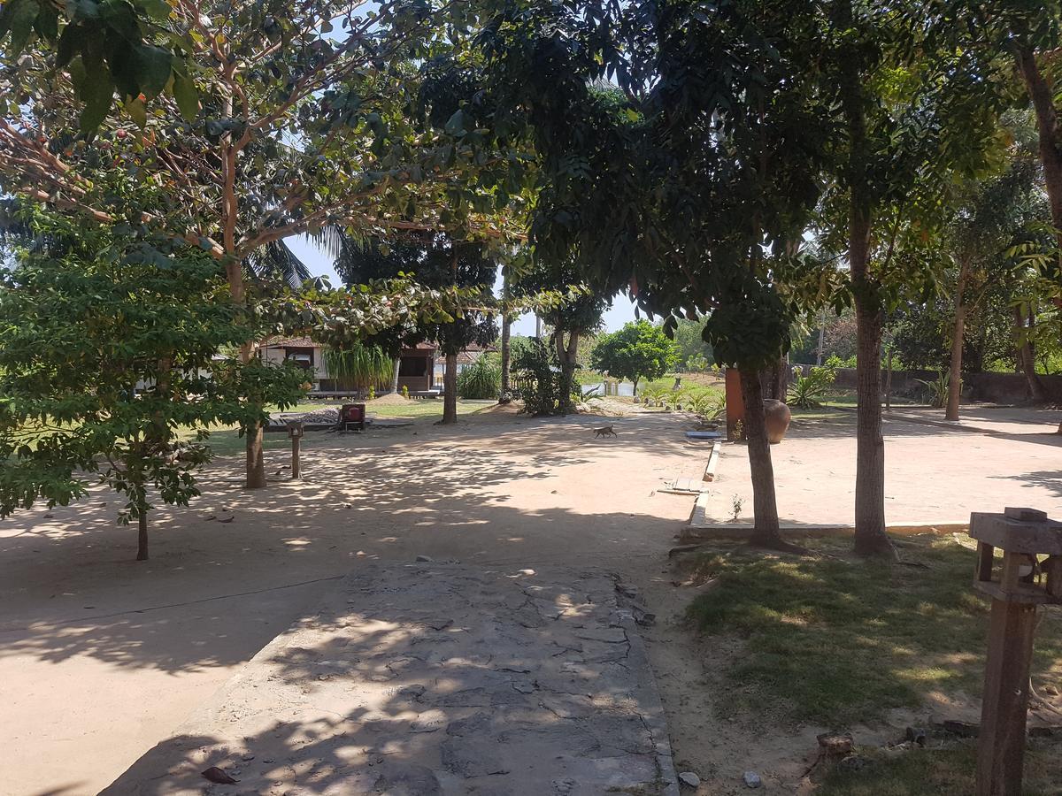 Mangrove Inn การีมุนยาวา ภายนอก รูปภาพ