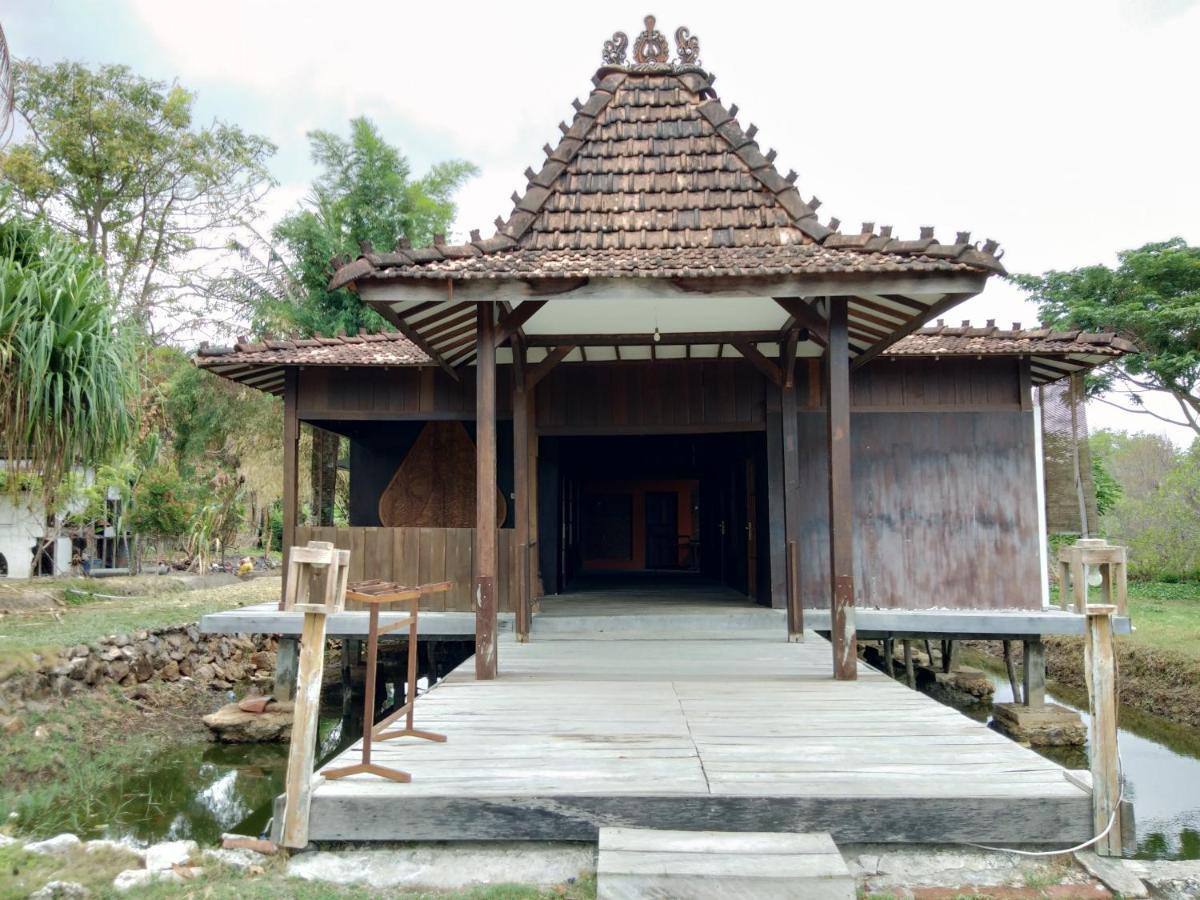 Mangrove Inn การีมุนยาวา ภายนอก รูปภาพ